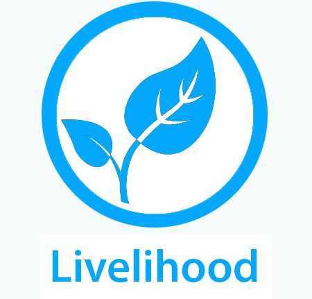 Sustainable Livelihood Program- CSR Projects India