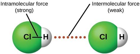 10.1 Intermolecular Forces | Chemistry