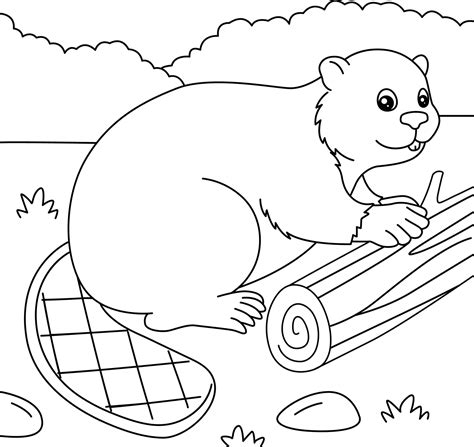 Beaver Coloring Page