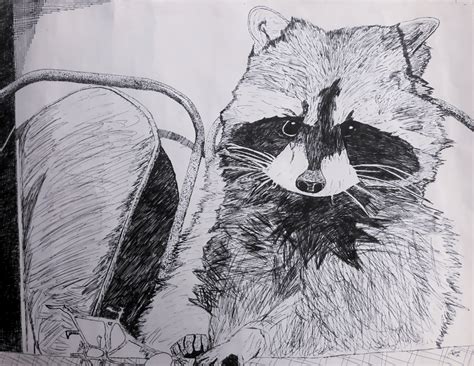 Raccoon Eating Grapes (Pen and Ink) by recorderenthusiast on Newgrounds