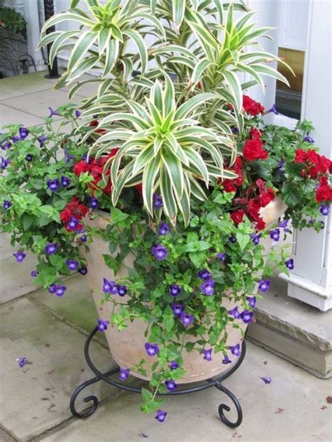 Full Sun Container Plants Ideas 20 | Garden containers, Container ...