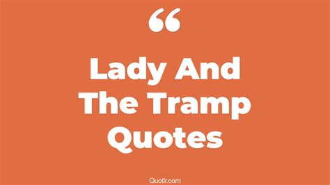 3+ Eye-Opening Lady And The Tramp Quotes That Will Inspire Your Inner Self