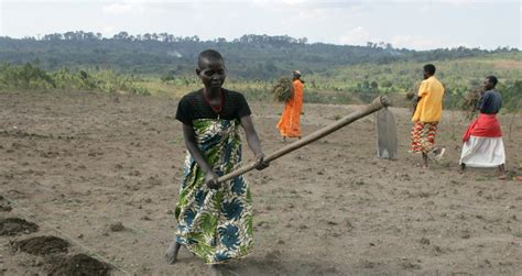 FAO Maps Carbon Stocks in Soil | UNFCCC