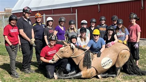 Hamilton Mounted Police Continue Large Animal Rescue Training - Central ...