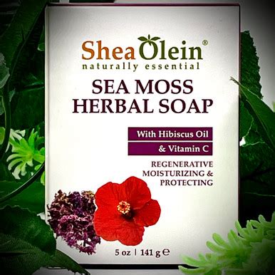 Sea Moss Herbal Soap