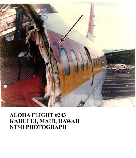 👍 Aloha airlines flight 243 flight attendant. It's been 30 years since ...