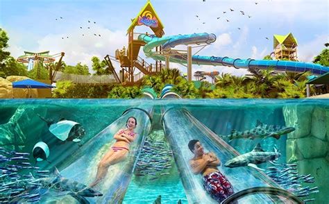 Ray Rush – Aquatica Orlando Water Park Slide | Aquatica Orlando