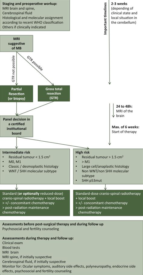 How we treat medulloblastoma in adults - ESMO Open