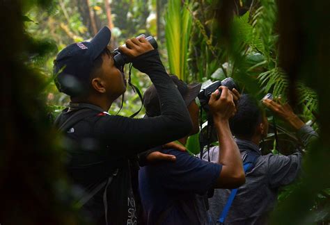 Hari Lingkungan Hidup Sedunia: Saatnya Kembali Ke Alam - Burung Indonesia