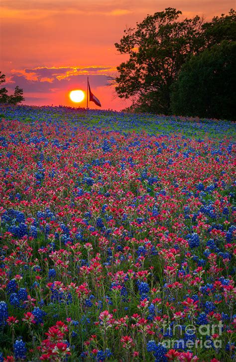 Texas Sunset Photograph by Inge Johnsson