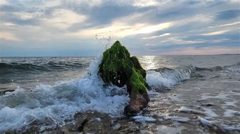 Experience the Best of Cape Cod at Herring Cove Beach - Amazingworld