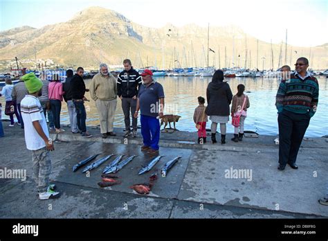 snoek for sale at Hout Bay harbour in Cape Town Stock Photo - Alamy