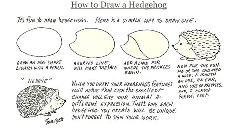 How to draw a hedgehog. | How to draw a hedgehog, Hedgehog drawing, How to draw a