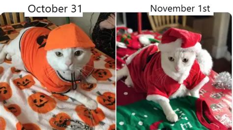 October 31st vs. November 1st | Know Your Meme