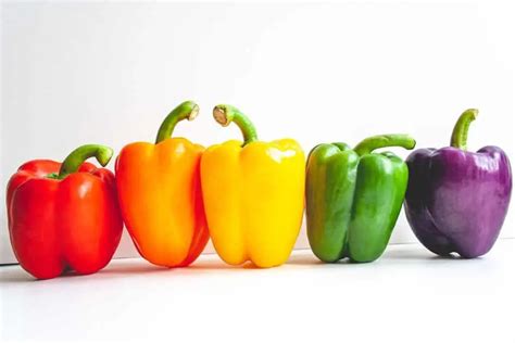 Understanding the Different Types of Bell Peppers - Kaspharyn Solutions