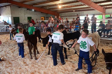 Clay County Fair | Play Here | Clay Center, Nebraska