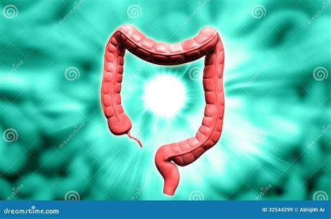 Human digestive system stock illustration. Illustration of human - 32544299