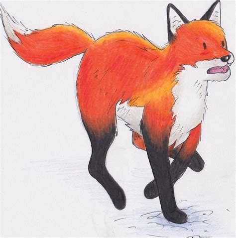 Fox Running Drawing - Gallery | Running drawing, Fox pictures, Fox running