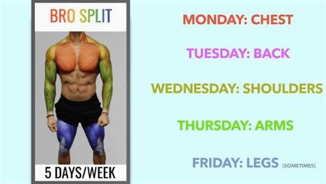 5 Day Split Workout Routine Muscle And Strength | EOUA Blog