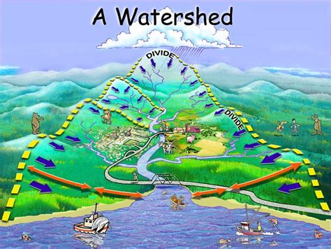 watershed line drawing - Google Search | Environmental education, Watersheds, Earth science