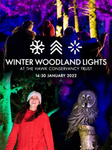 Winter Woodland Lights - Hawk Conservancy Trust - Hawk Conservancy Trust