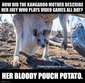 Top 50 Most Humorous Australia Jokes