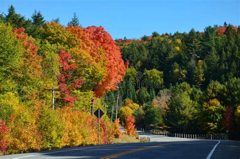 Fall Colors in Algonquin stock image. Image of nature - 258075237