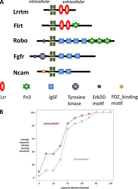 Figure 3 from The Impact of Gene Expression Regulation on Evolution of ...