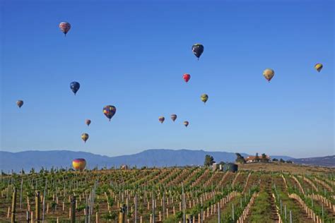 Temecula-Balloon-and-Wine-Festival-California-DP | The Barefoot Nomad