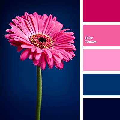 Bright pink and contrasting dark blue will create an extraordinary play ...