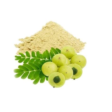 Amazing Enterprises Dried Amla Powder, 1kg To 25kg at Rs 341/kg in ...