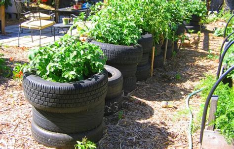 10 Best DIY & Cheap Container Vegetable Gardening Ideas Anyone Can Use – Slick Garden