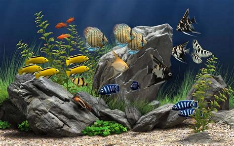 Aquarium 3D Live Wallpapers - WallpapersHigh