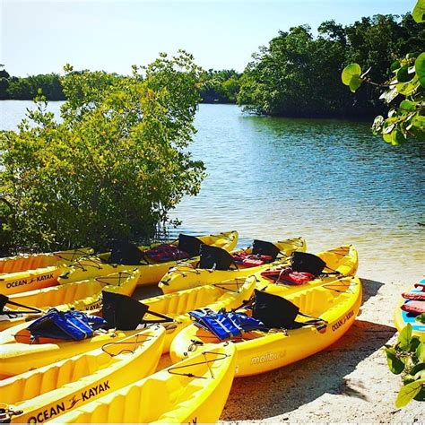 Top 5 Family-Friendly Activities In Fort Myers Beach | Lovers Key Adventures