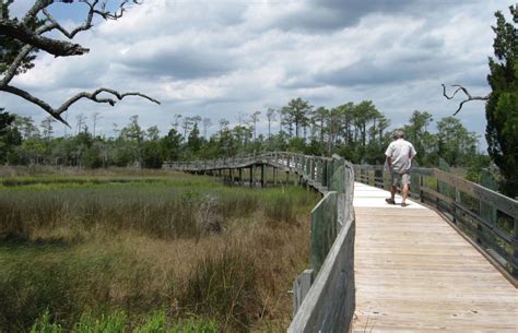 National Forests In North Carolina » Carolina Outdoors Guide