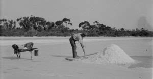 Salt making in early Australia - Australian food history timeline