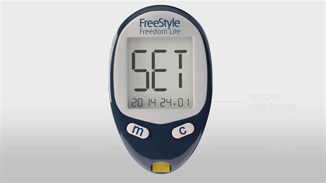 FreeStyle Freedom Lite System Set Up Your Meter and Perform a Blood ...