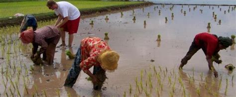 Learn Khmer culture in Cambodia for volunteers over 50 | Projects Abroad