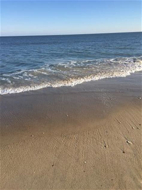 Photos of Assateague Beach, Assateague Island - Attraction Images - TripAdvisor