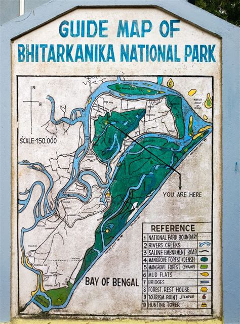 BHITARKANIKA NATIONAL PARK. - The Floating Pebbles