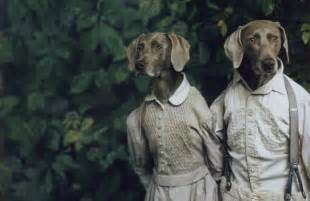 Artist William Wegman and his Weimaraner muses | PBS NewsHour