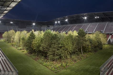 Soccer Stadium Turned Into Massive Forest