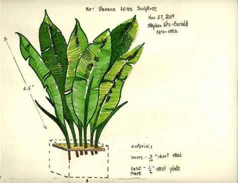 Banana Leaf Drawing at GetDrawings | Free download