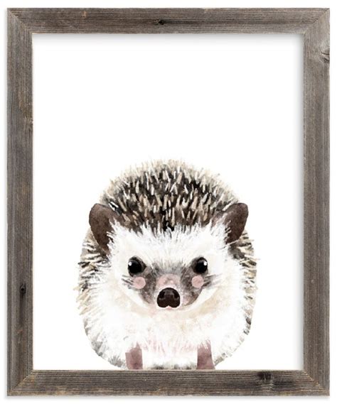 Baby Hedgehog Art Print