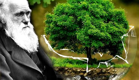 Charles Darwin’s Theory of Evolution: Problems For Philosophers Today