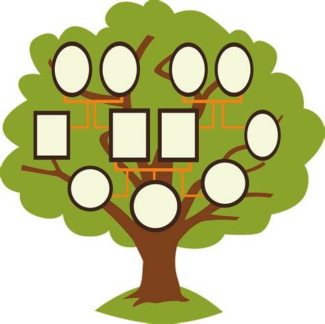 Family Tree Clip Art Transparent Background