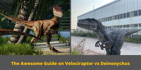 The Awesome Guide On Velociraptor Vs Deinonychus