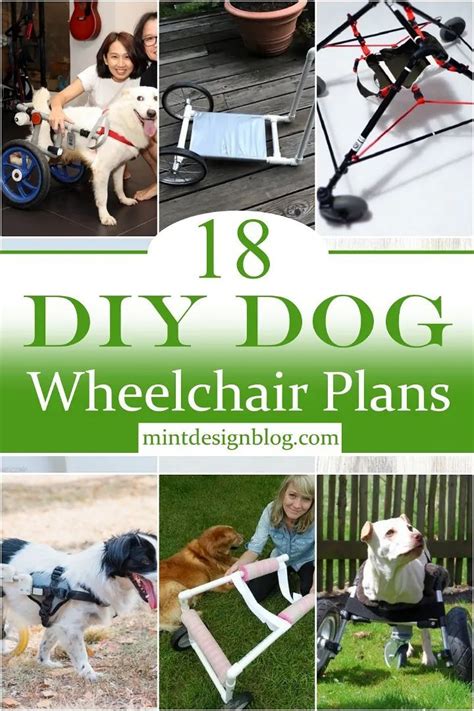 18 DIY Dog Wheelchair Plans in 2024 | Dog wheelchair, Diy dog ...