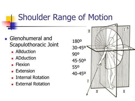 PPT - Shoulder Pain PowerPoint Presentation, free download - ID:2019838