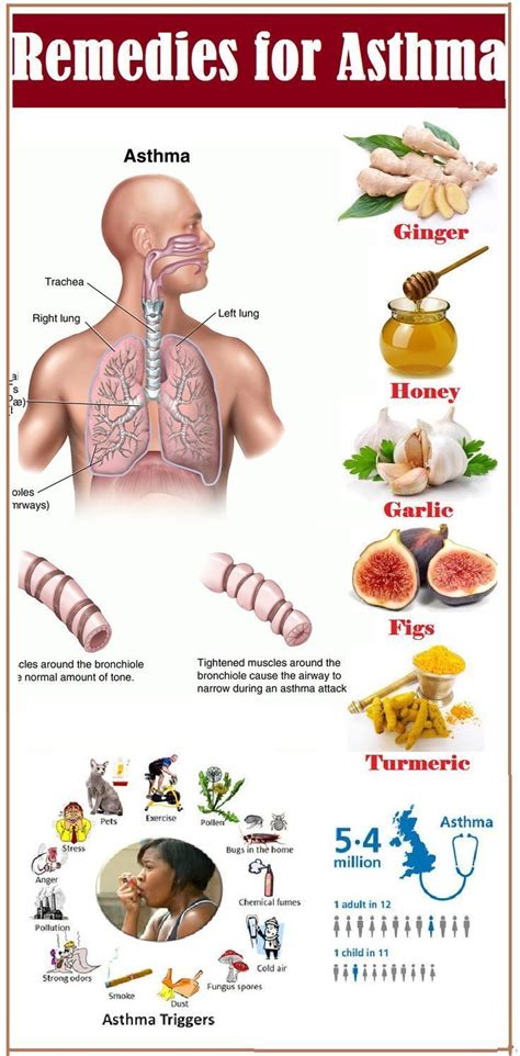 Asthma Tips, Tricks, And Techniques To Breathe Easier >>> More info ...